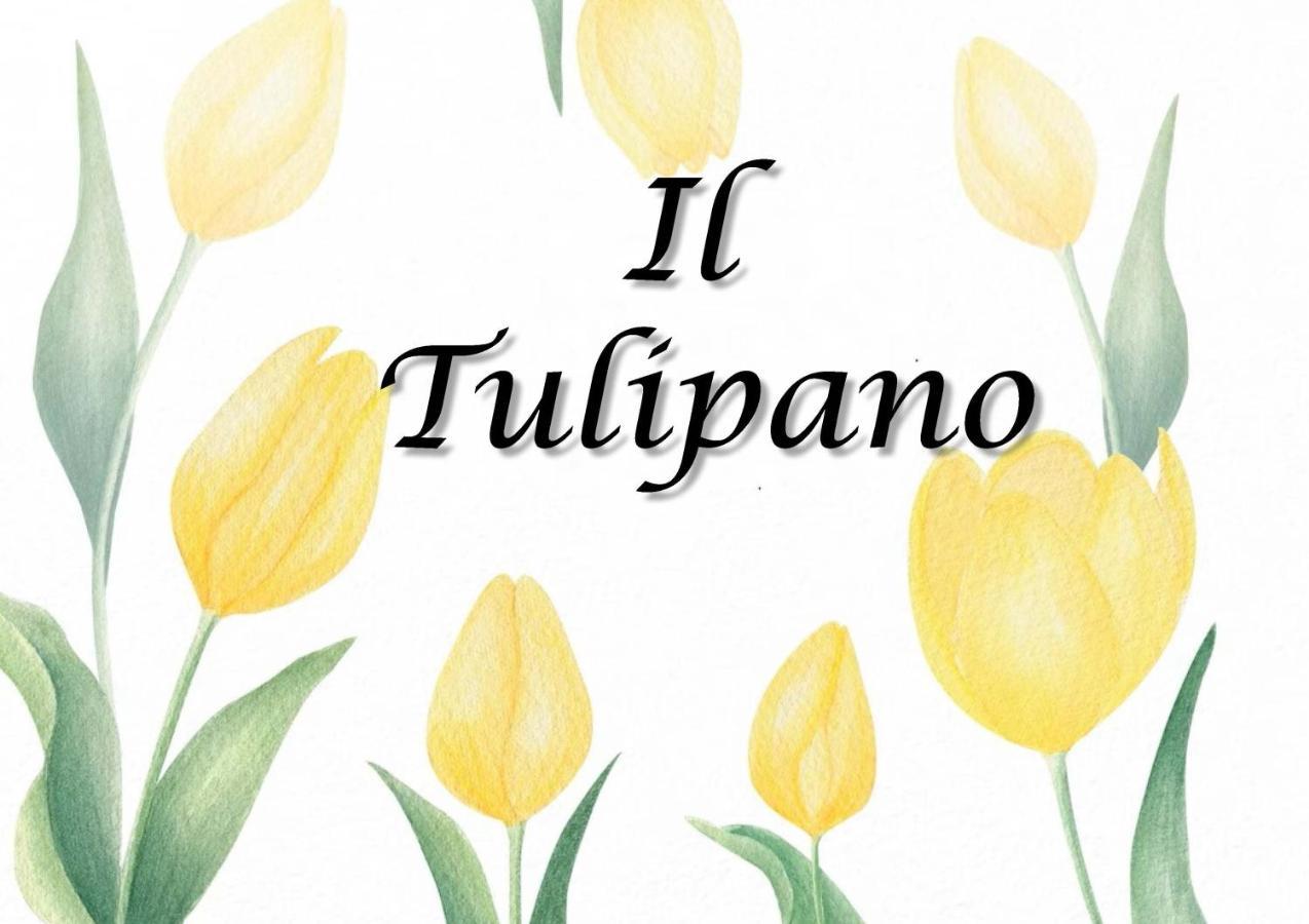 Apartmán Il Tulipano Trezzano Rosa Exteriér fotografie